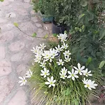 Pensión Denni's Sarandë