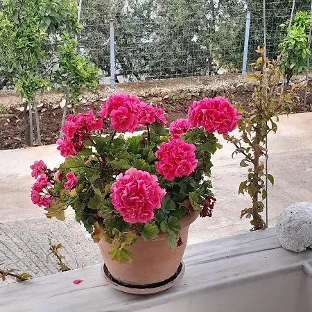 Denni's Гостевой дом Саранда