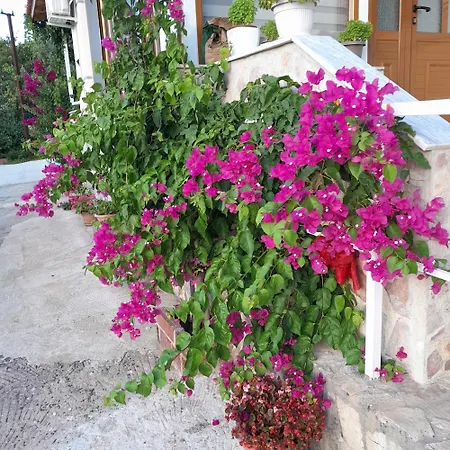 Гостевой дом Denni's 3*