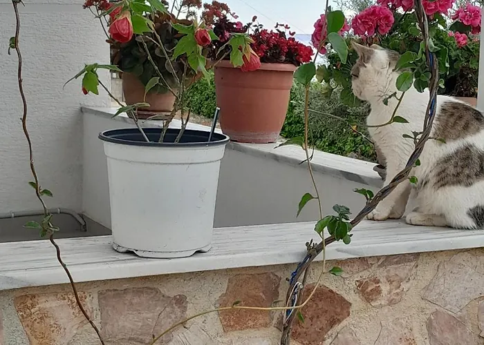 Denni's 3* Σαράντα