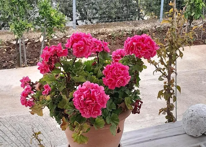 Denni's Casa de hóspedes Sarandë