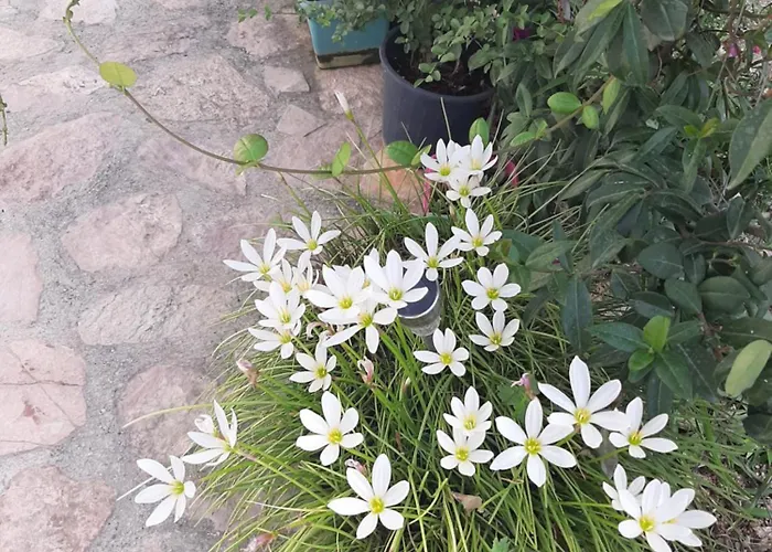 Pensjonat Denni's Saranda