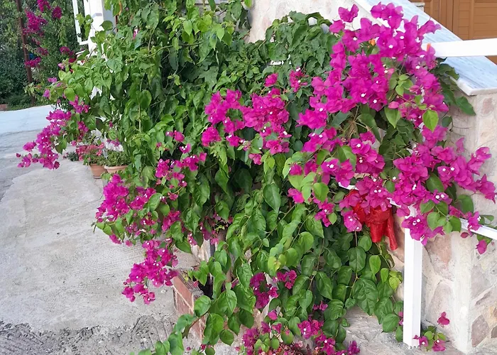 Pensjonat Denni's 3*